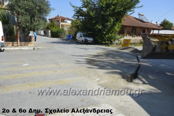 alexandriamou (4)